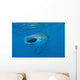 Whale Shark Swimming Open Mouth Wall Decal