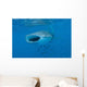 Whale Shark Swimming Open Mouth Wall Decal