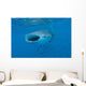 Whale Shark Swimming Open Mouth Wall Decal