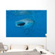 Whale Shark Swimming Open Mouth Wall Decal