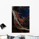 Hingebeak Shrimps Hiding inside Wall Decal
