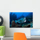 Bumphead Parrotfish Swimming Horizontal Wall Decal