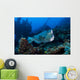 Bumphead Parrotfish Swimming Horizontal Wall Decal