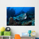 Bumphead Parrotfish Swimming Horizontal Wall Decal