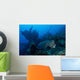 Bumphead Parrotfish Swimming Wall Decal