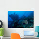 Bumphead Parrotfish Swimming Wall Decal