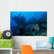 Bumphead Parrotfish Swimming Wall Decal