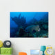 Bumphead Parrotfish Swimming Wall Decal