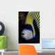 Portrait Emperor Angelfish Wall Decal