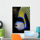 Portrait Emperor Angelfish Wall Decal