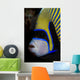 Portrait Emperor Angelfish Wall Decal