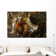 Red and Yellow Hairy Wall Decal
