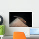 Red and Transparent Goby Wall Decal