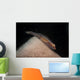 Red and Transparent Goby Wall Decal