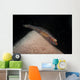 Red and Transparent Goby Wall Decal
