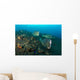 Several Bumphead Parrotfish Swimming Rocks Wall Decal