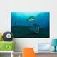 Several Bumphead Parrotfish Swimming Light Wall Decal