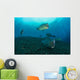 Several Bumphead Parrotfish Swimming Light Wall Decal