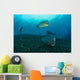 Several Bumphead Parrotfish Swimming Light Wall Decal