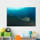 Several Bumphead Parrotfish Swimming Right Side Wall Decal