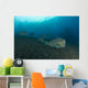 Several Bumphead Parrotfish Swimming Right Side Wall Decal