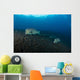 Several Bumphead Parrotfish Swimming Ocean Floor Wall Decal