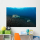 Several Bumphead Parrotfish Swimming Ocean Floor Wall Decal