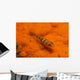 Red and Transparent Goby Ocean Floor Wall Decal