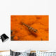 Red and Transparent Goby Ocean Floor Wall Decal