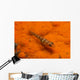 Red and Transparent Goby Ocean Floor Wall Decal