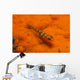 Red and Transparent Goby Ocean Floor Wall Decal