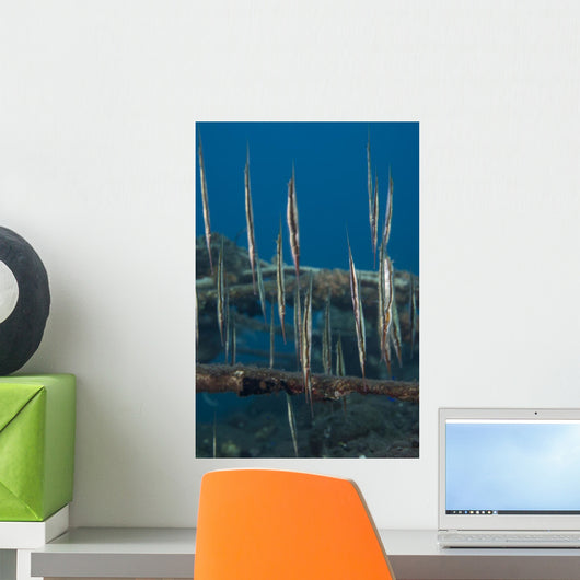 School Razorfish Hanging Upside Wall Decal