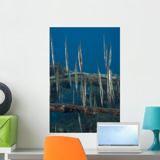 School Razorfish Hanging Upside Wall Decal