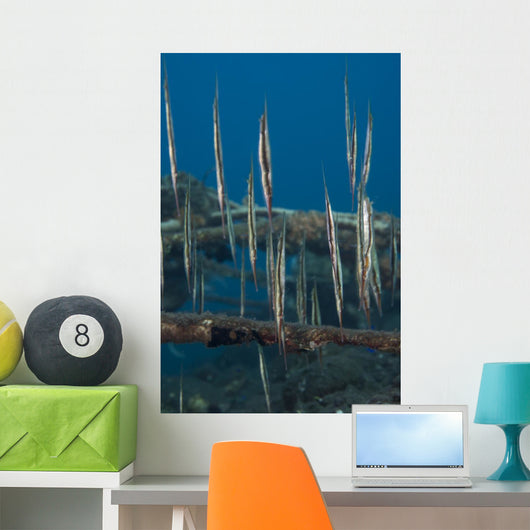 School Razorfish Hanging Upside Wall Decal