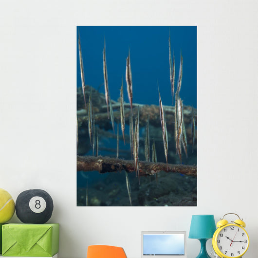 School Razorfish Hanging Upside Wall Decal