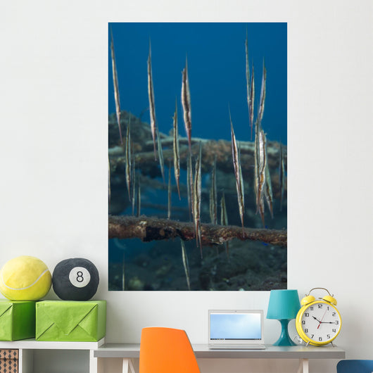School Razorfish Hanging Upside Wall Decal