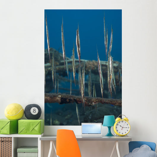School Razorfish Hanging Upside Wall Decal