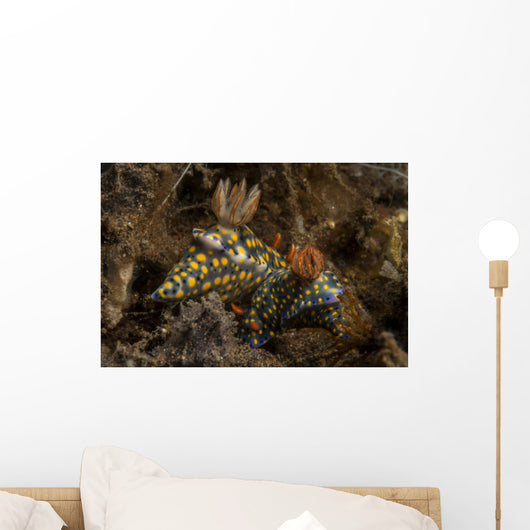 Pair Mating Yellow Spotted Wall Decal