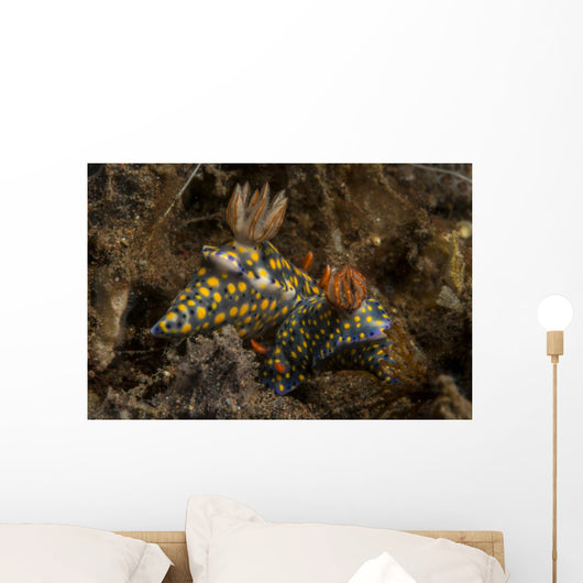 Pair Mating Yellow Spotted Wall Decal