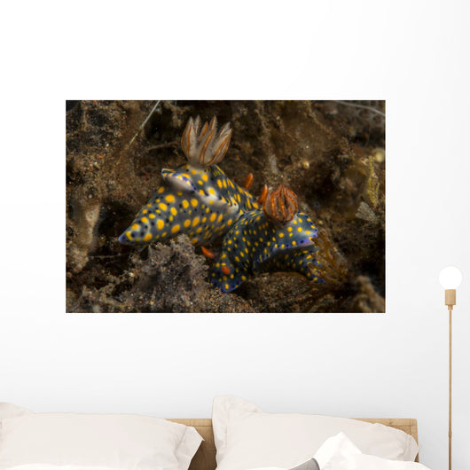 Pair Mating Yellow Spotted Wall Decal