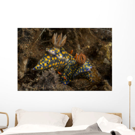 Pair Mating Yellow Spotted Wall Decal