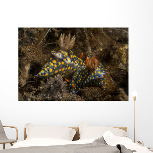 Pair Mating Yellow Spotted Wall Decal
