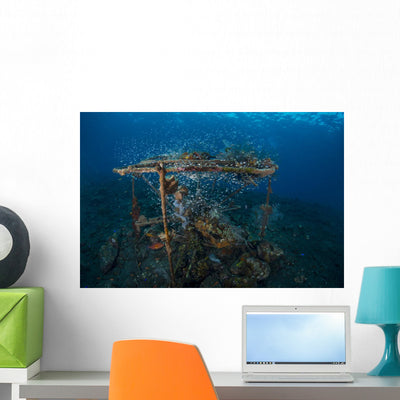 School Transparent Sweepers Submerged Wall Decal shown on a wall