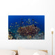 School Green Chromis Fish Wall Decal