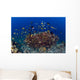School Green Chromis Fish Wall Decal