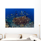 School Green Chromis Fish Wall Decal