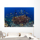 School Green Chromis Fish Wall Decal