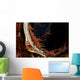 Several Hingebeak Shrimps Hiding Wall Decal
