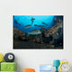 Several Bumphead Parrotfish Swimming Wall Decal