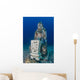 Submerged Buddha Statue Tulamben Wall Decal